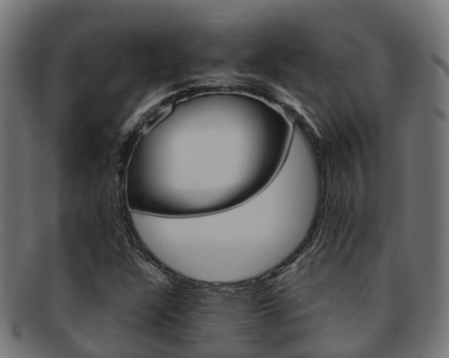 X0000092001304200709061232
