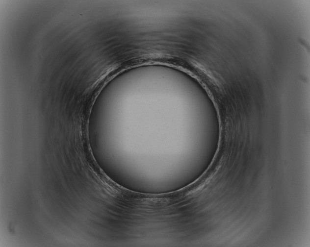 X0000092001305200709061232