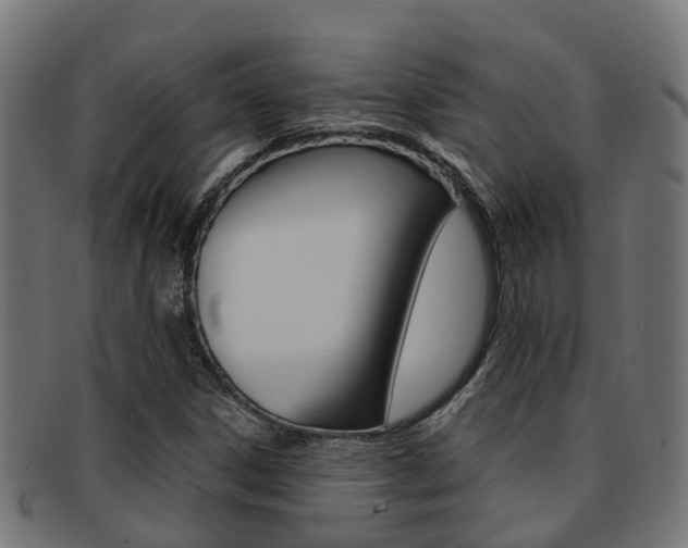 X0000092001306200709061232