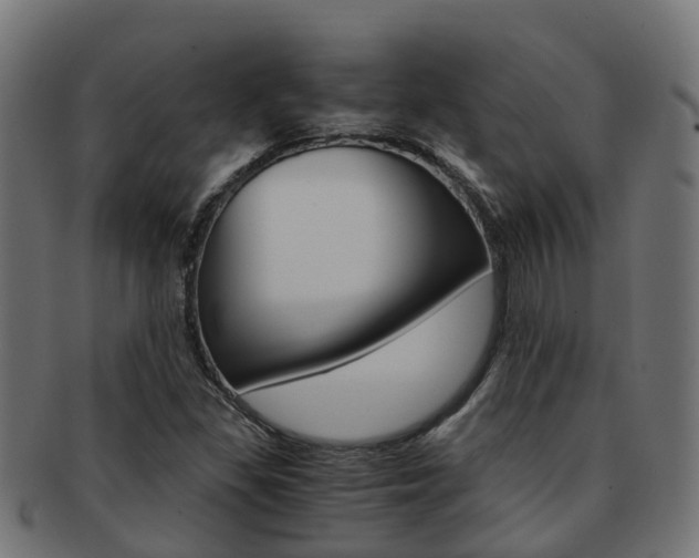 X0000092001309200709061232