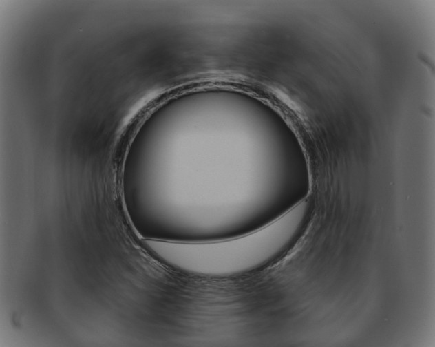 X0000092001310200709061233