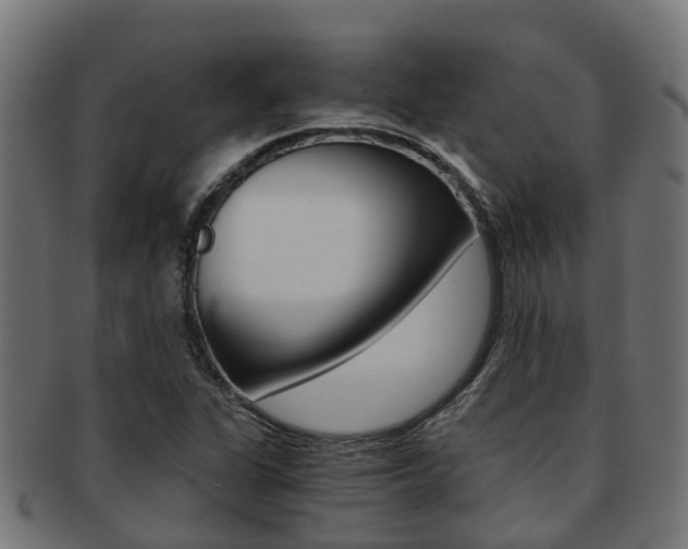 X0000092001311200709061233