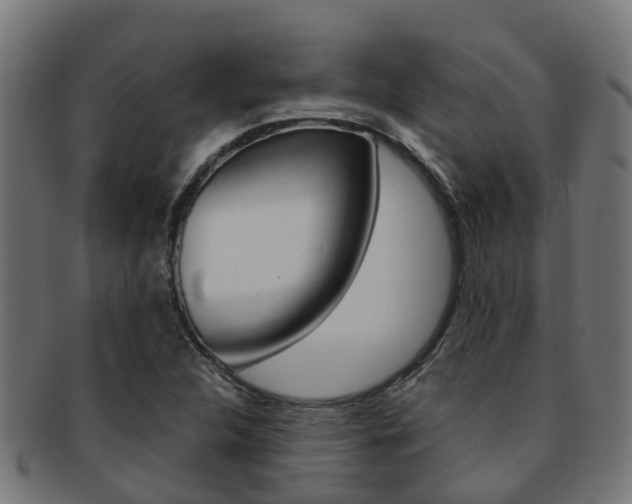 X0000092001312200709061233