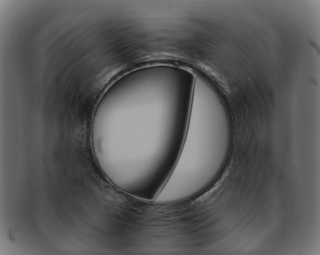 X0000092001313200709061233
