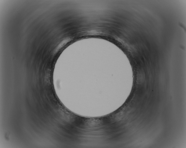 X0000092001314200709061233