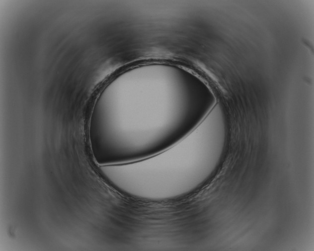 X0000092001315200709061233