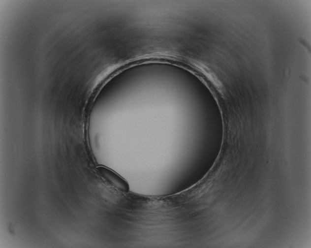 X0000092001316200709061233