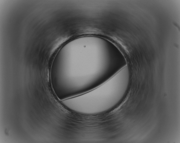 X0000092001317200709061233