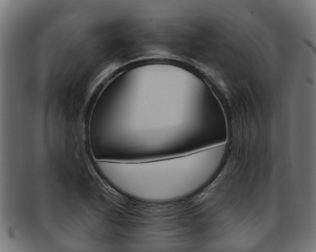 X0000092001318200709061233