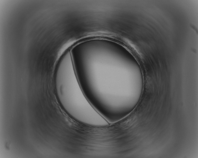 X0000092001320200709061233
