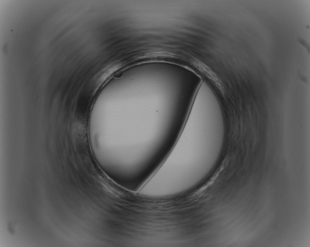 X0000092001321200709061233