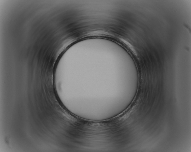 X0000092001322200709061233