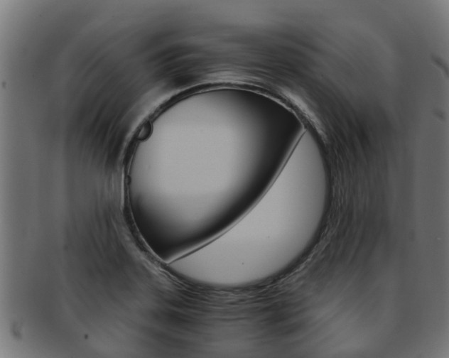 X0000092001323200709061233