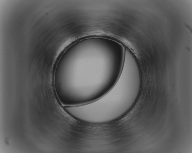 X0000092001326200709061233