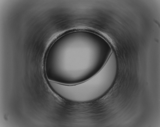 X0000092001327200709061233