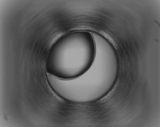 X0000092001329200709061233