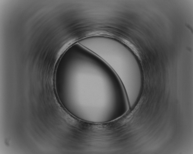 X0000092001330200709061233