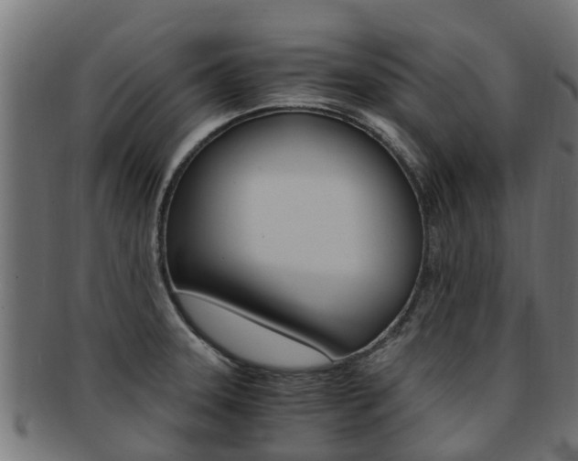 X0000092001331200709061233