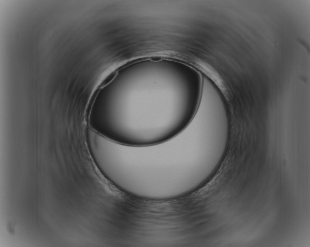 X0000092001332200709061233