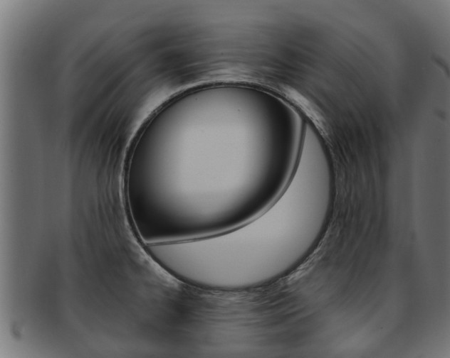 X0000092001334200709061233