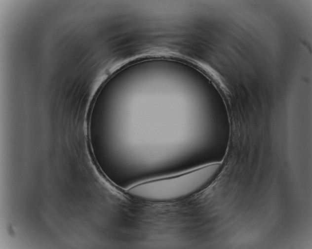 X0000092001335200709061233