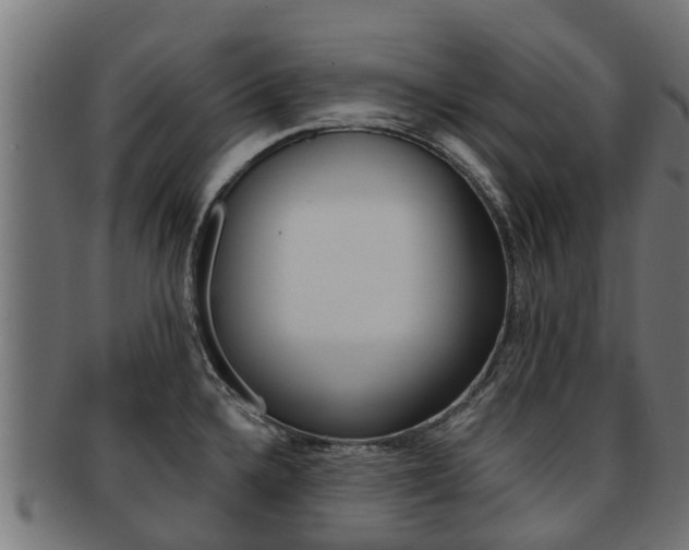 X0000092001336200709061233
