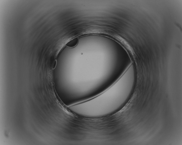 X0000092001337200709061233