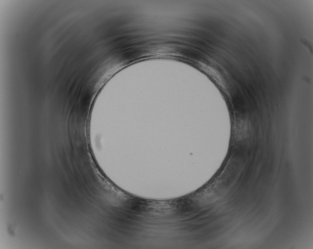 X0000092001338200709061233