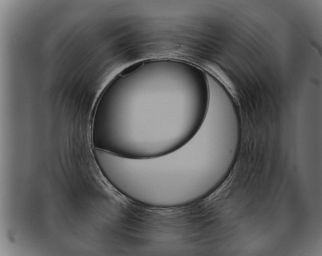 X0000092001340200709061233
