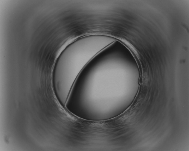 X0000092001341200709061233