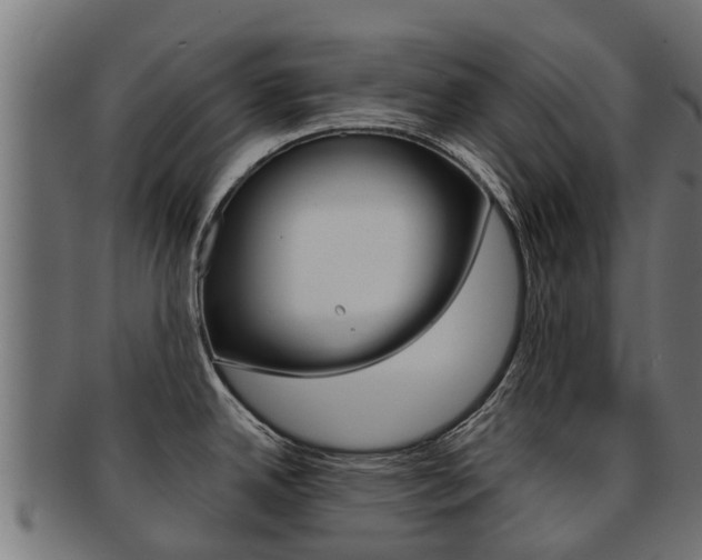 X0000092001342200709061233