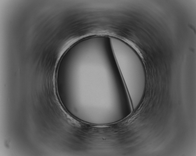 X0000092001343200709061233