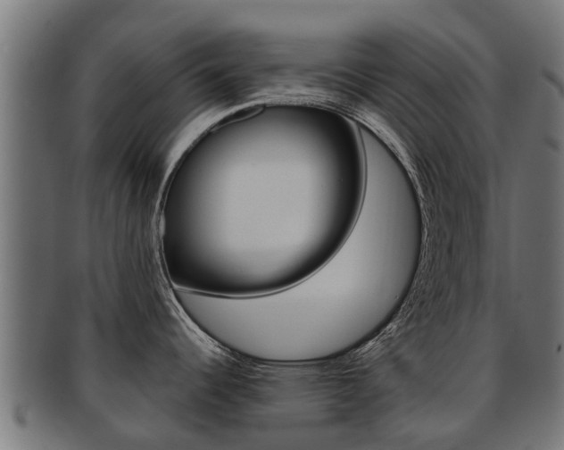 X0000092001344200709061233
