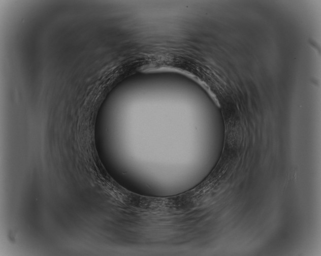 X0000092001345200709061232