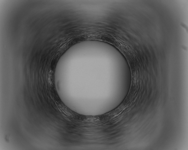 X0000092001346200709061232