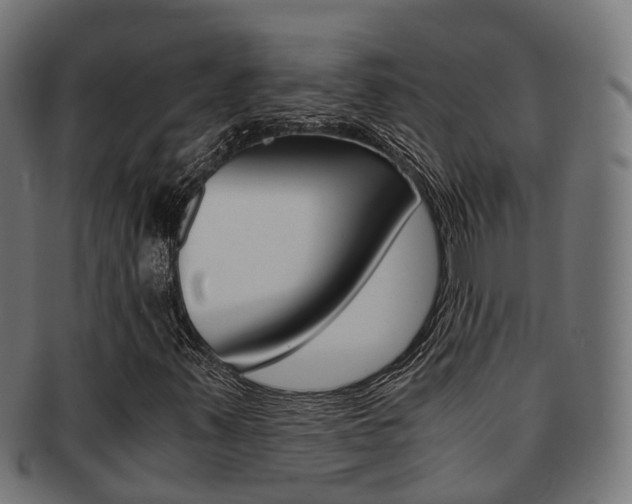 X0000092001347200709061232