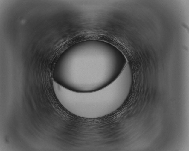 X0000092001348200709061232