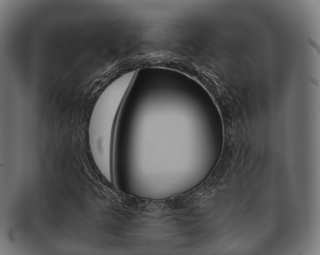 X0000092001349200709061232