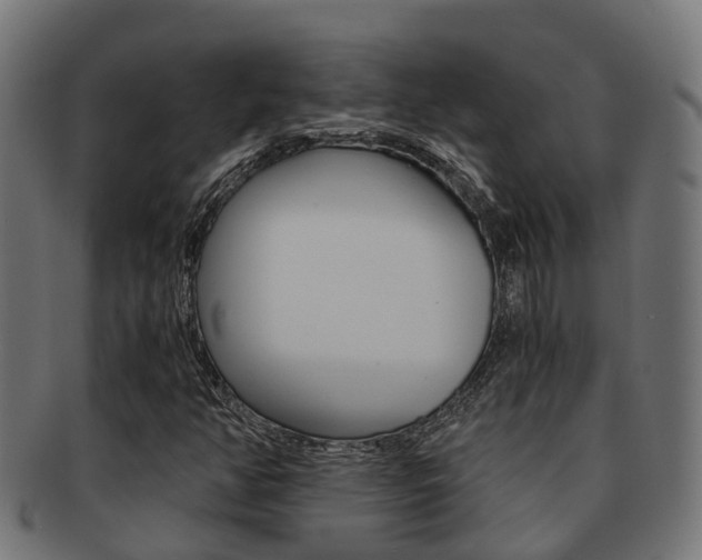 X0000092001350200709061232