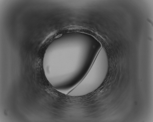 X0000092001351200709061232