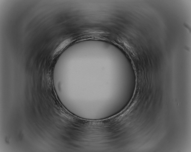 X0000092001354200709061232