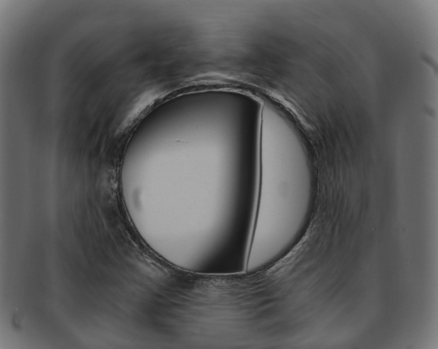 X0000092001355200709061232