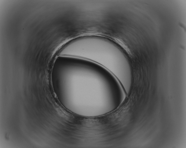 X0000092001356200709061232