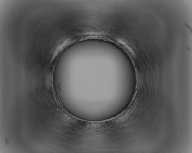 X0000092001357200709061232