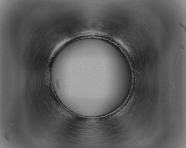 X0000092001358200709061232