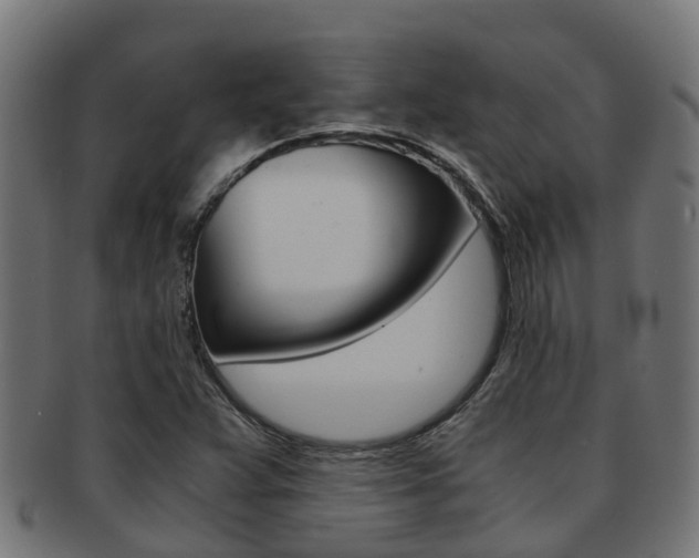X0000092001359200709061232