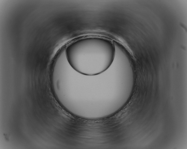 X0000092001360200709061232