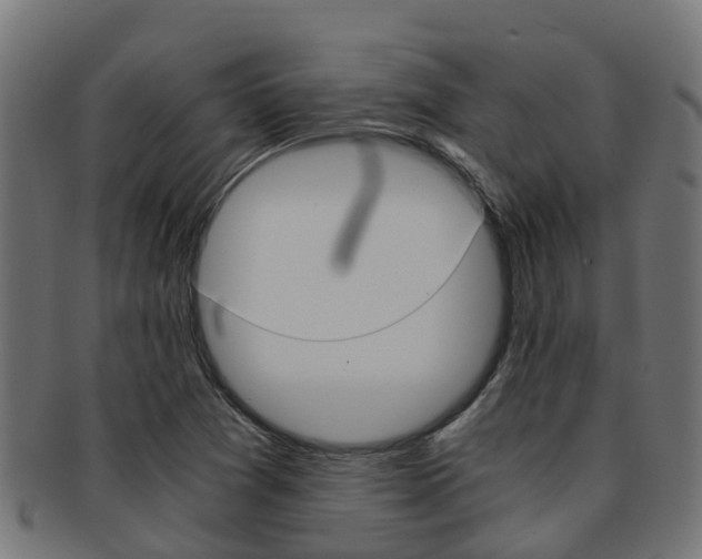 X0000092001361200709061232