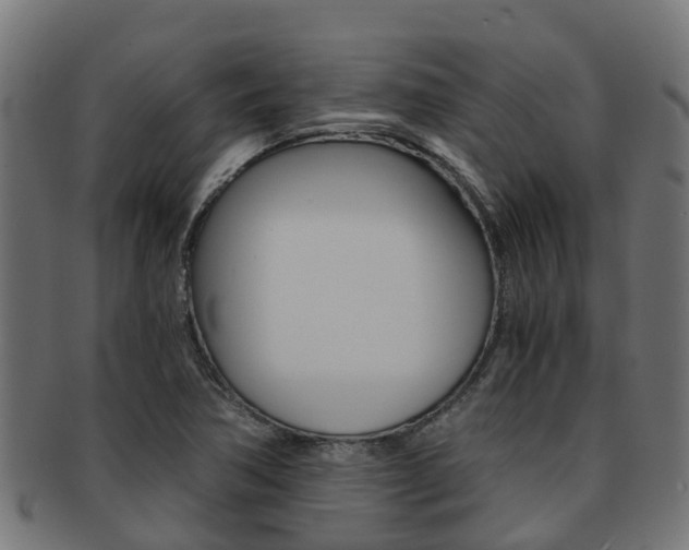 X0000092001362200709061232