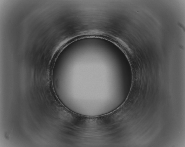 X0000092001364200709061232